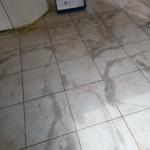 Photo of Eyodan carpet cleaning company