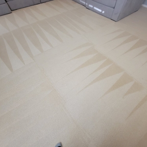 Photo of Eyodan carpet cleaning company