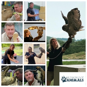 Photo of Wild World of Animals