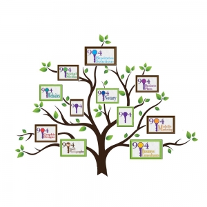Photo of 904 Business Solutions