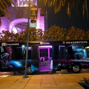 Photo of Limo Bus Party