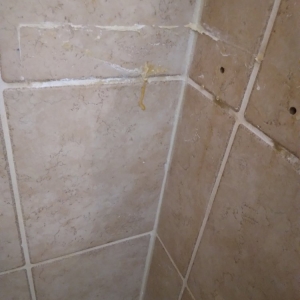 Photo of Munson's Waterworks of Madison County