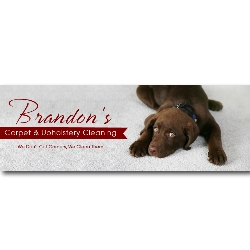 Photo of Brandon's Carpet & Upholstery Cleaning