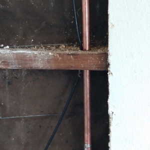 Photo of Aloha Plumbing and Drain Service