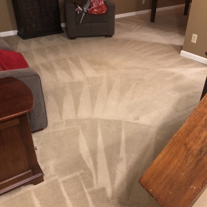 Photo of Quality Carpet Cleaning Solutions