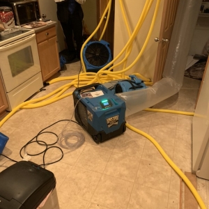 Photo of Spots Gone Carpet Cleaning & Restoration