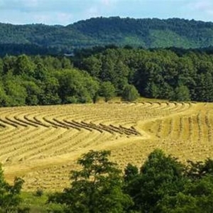 Photo of Farm Credit Carolina