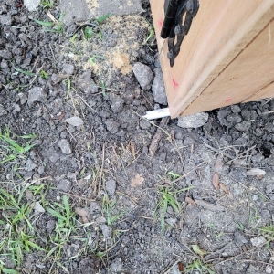 Photo of A+ Affordable Fence & Repair