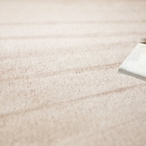 Photo of ADJ Carpet Cleaning & Services