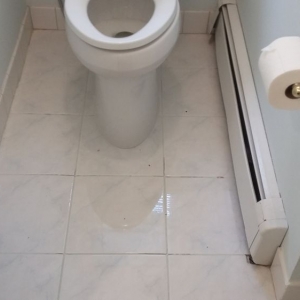 Photo of The Grout Savior