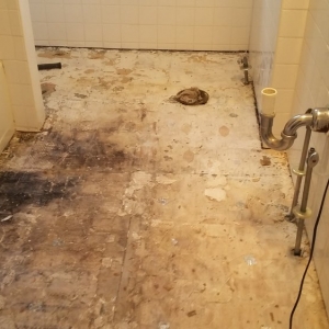 Photo of The Grout Savior