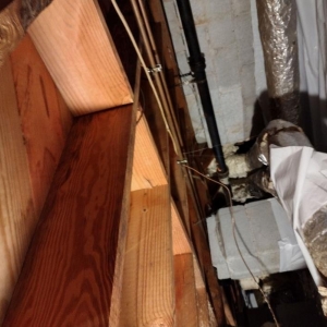 Photo of Atlanta Mold and Cleaning