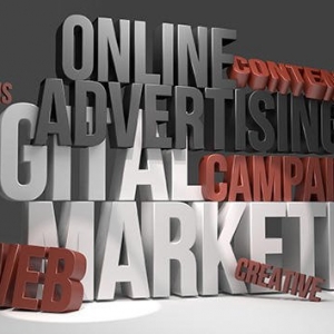 Photo of Web Fox Marketing