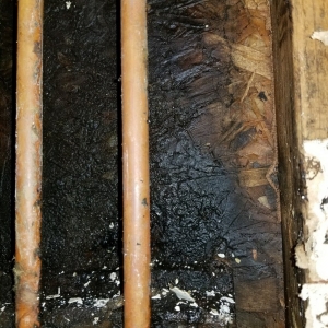 Photo of Sunshine Cleaning & Restoration