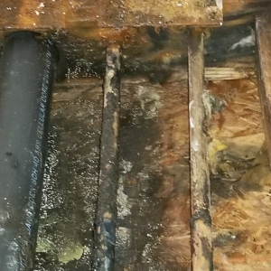 Photo of Sunshine Cleaning & Restoration