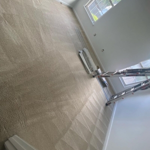 Charlotte Carpet Super Care
