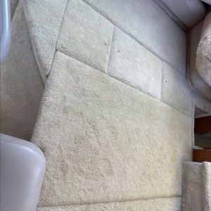 Photo of carpet cleaning by brian