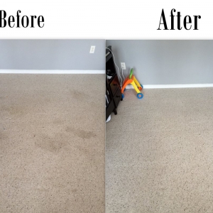Magnolia Fowler Carpet & Upholstery Cleaning