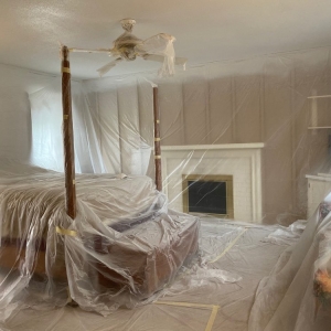 Photo of Top Priority Painting