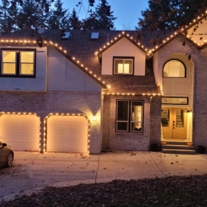 Photo of Winter Leaf Lawn Care