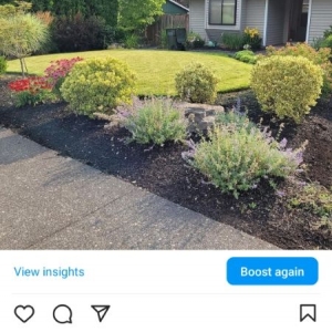 Photo of Winter Leaf Lawn Care
