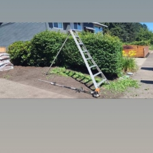 Photo of Winter Leaf Lawn Care
