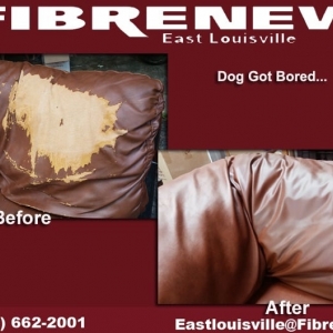 Photo of Fibrenew