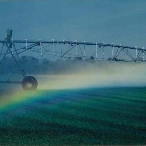 Photo of Novasack Turf Farms