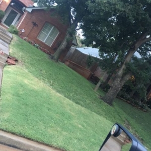 Photo of Premier Landscaping