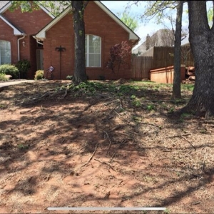 Photo of Premier Landscaping