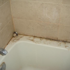 Photo of S&S Cleaning