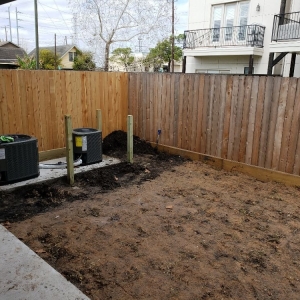 Photo of Tall Tex Turf