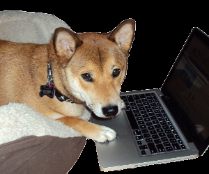 Photo of Riyku LLC