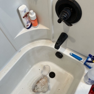 Photo of Clean