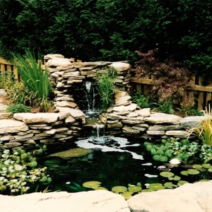 Photo of Hemphill's Pond & Garden Center