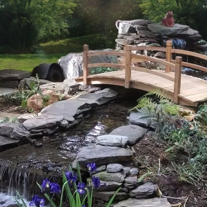 Photo of Hemphill's Pond & Garden Center