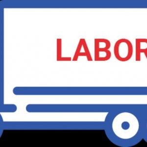 Photo of Strong Man Labor Service