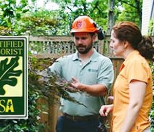 Charlotte AAA Tree Experts