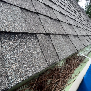 Photo of Window Genie of SE Cypress and W Spring