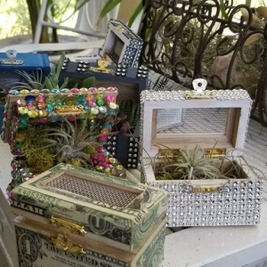 Photo of Serenity's Home & Garden