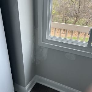 Photo of Pro Nino's Painting