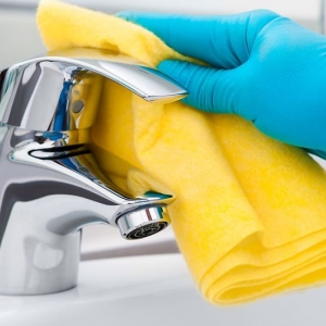 Photo of Lugos cleaning
