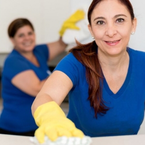 Photo of Lugos cleaning