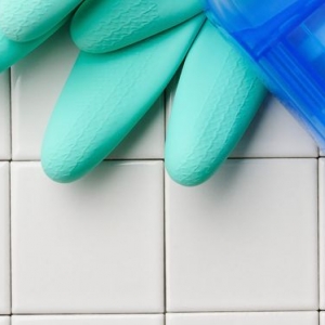 Photo of Lugos cleaning