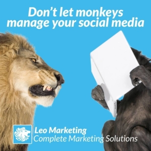 Photo of Leo Marketing