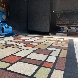 Photo of Pronto Rug Wash & Repair