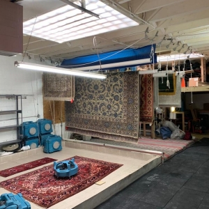 Photo of Pronto Rug Wash & Repair