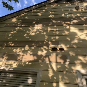 Gastonia Cip Remodeling and Repairs