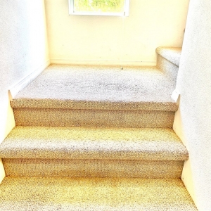 Photo of LSS Cleaning Services