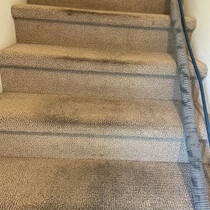 Photo of LSS Cleaning Services